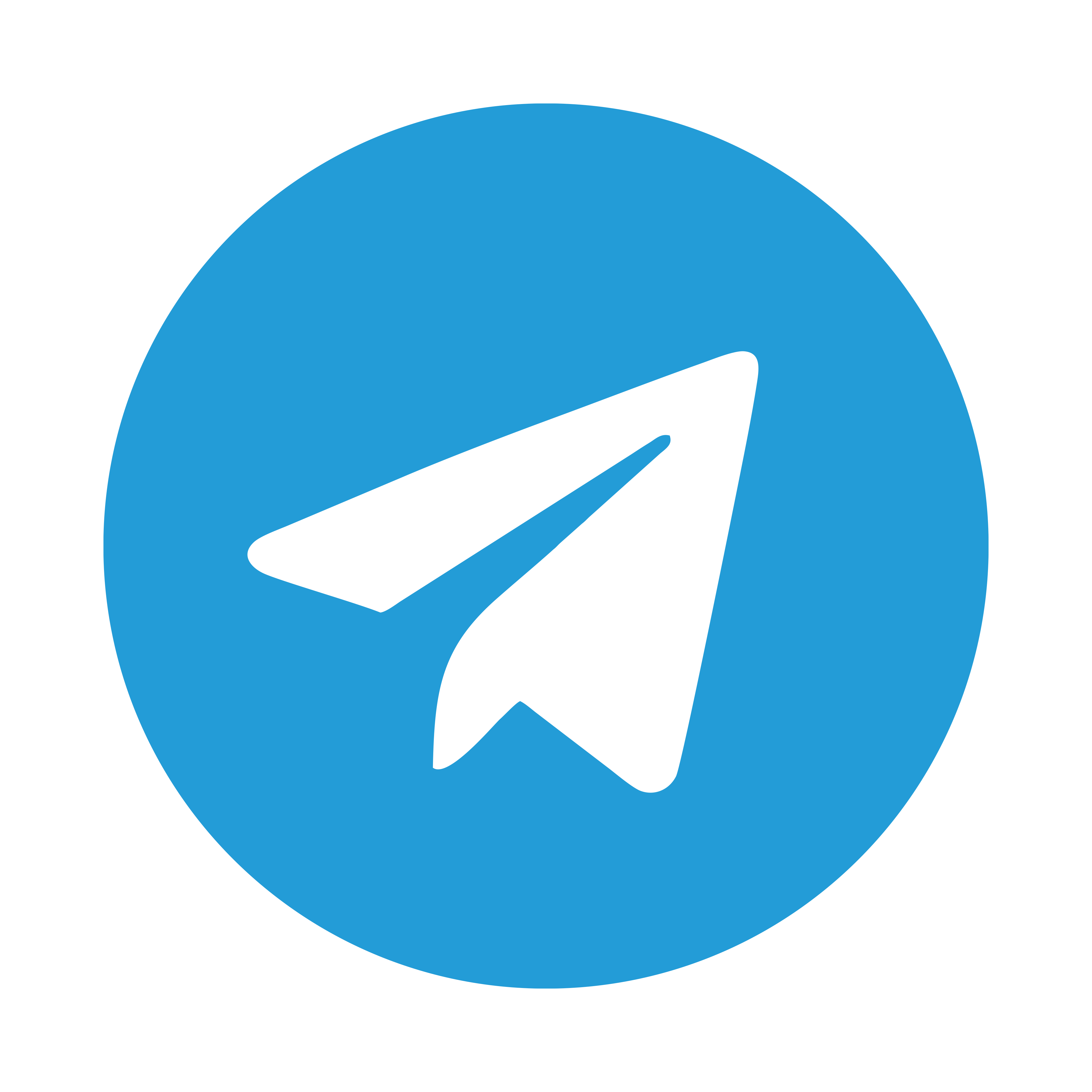 Telegram icon on transparent background PNG